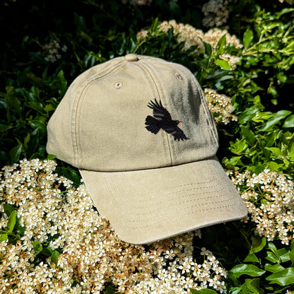 Chough Embroidered Baseball Cap
