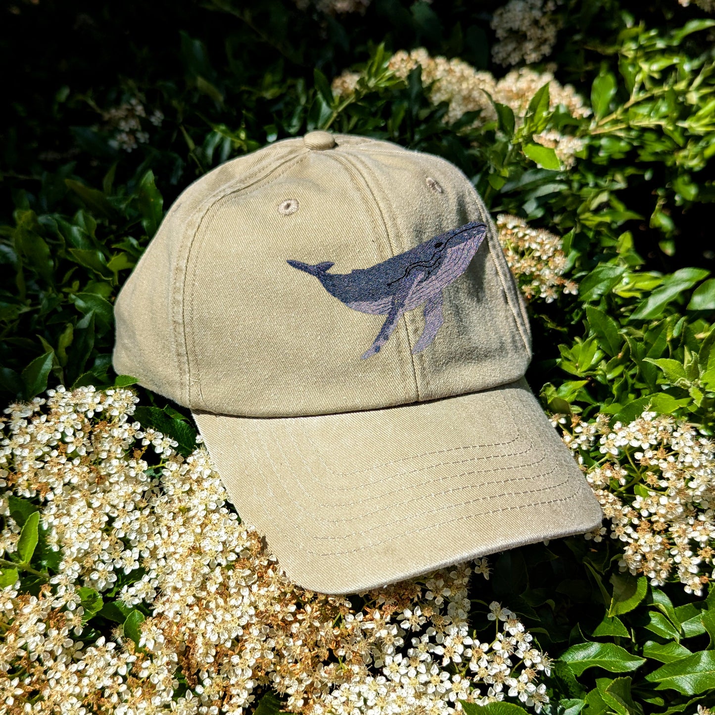 Humpback Whale Embroidered Baseball Cap