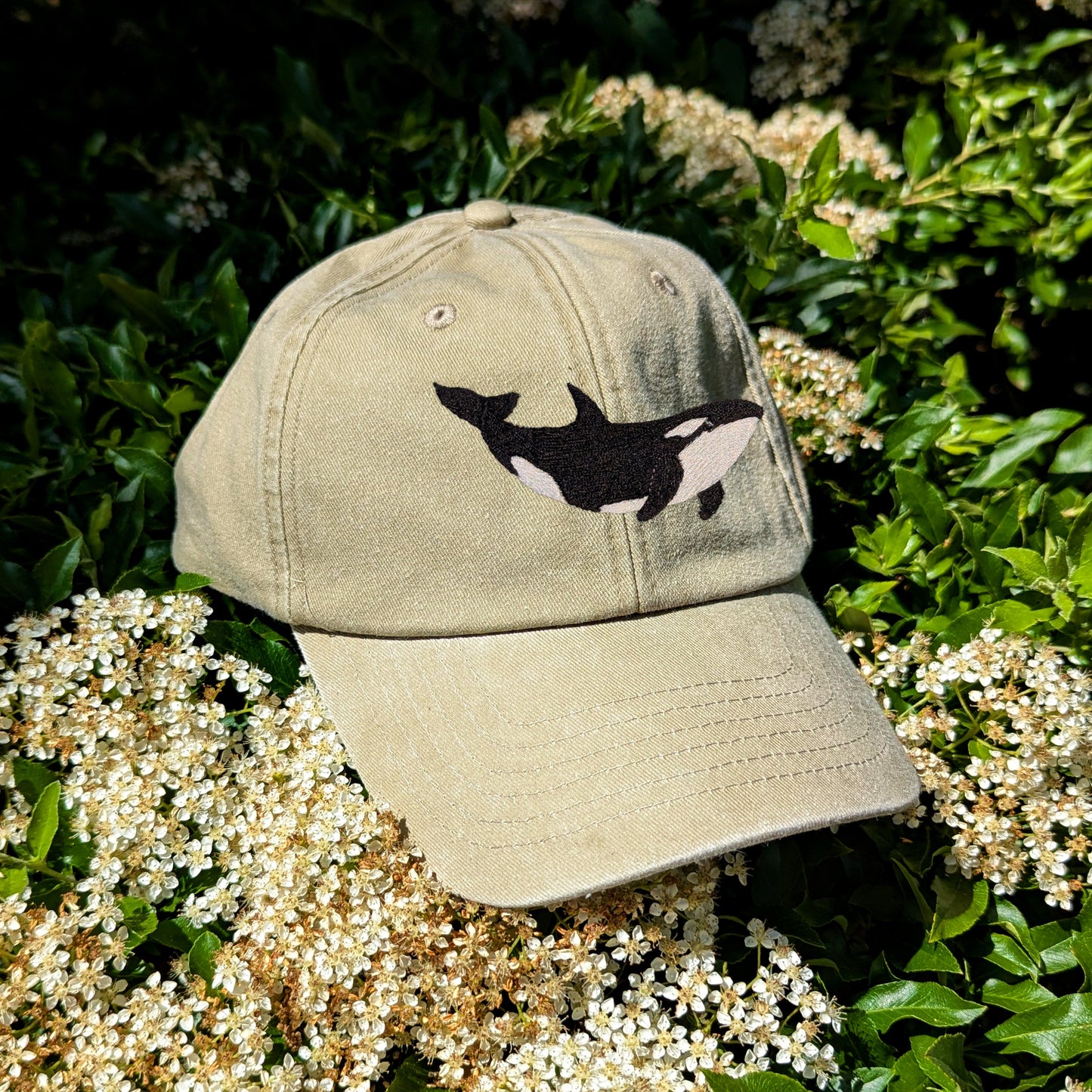Orca Embroidered Baseball Cap