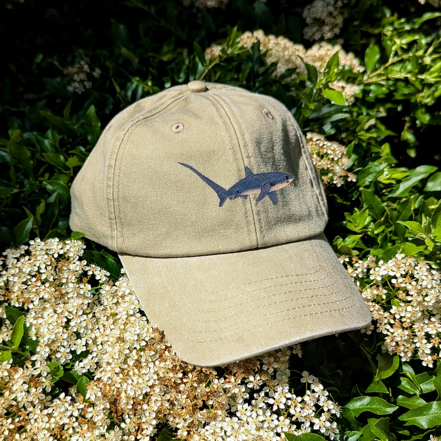 Thresher Shark Embroidered Baseball Cap