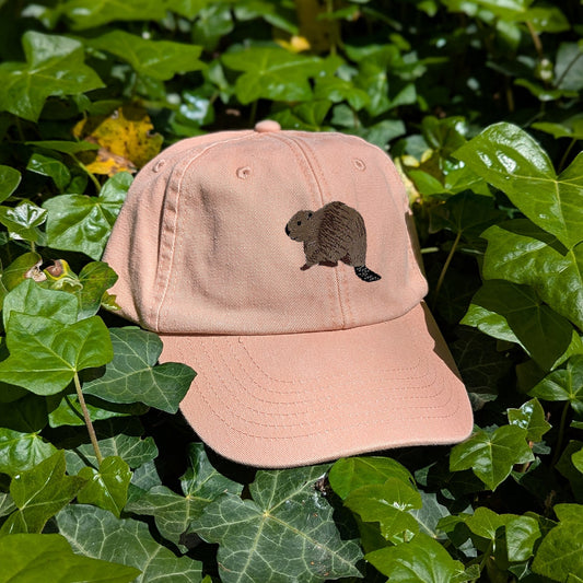Beaver Riverside Embroidered Baseball Cap
