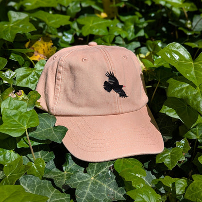 Chough Embroidered Baseball Cap