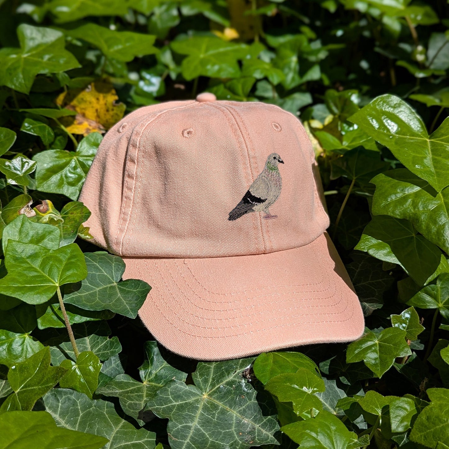 Pigeon Embroidered Baseball Cap