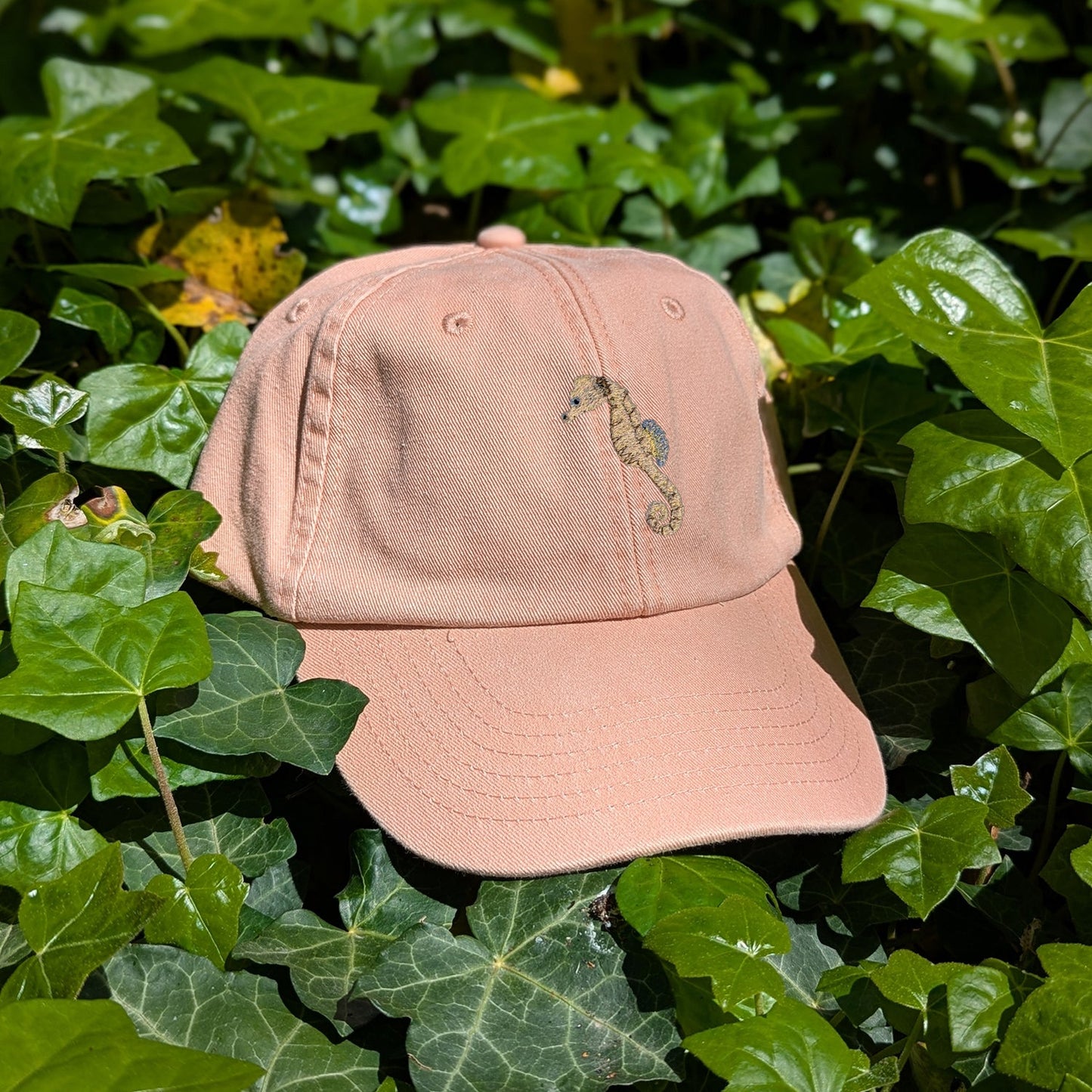 Seahorse Embroidered Baseball Cap