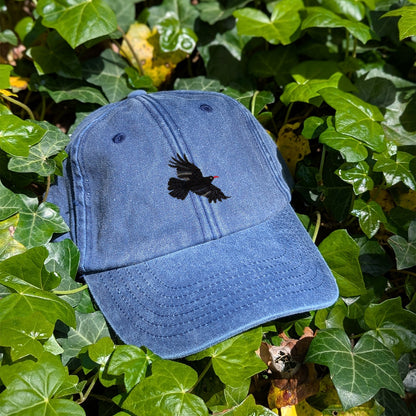 Chough Embroidered Baseball Cap