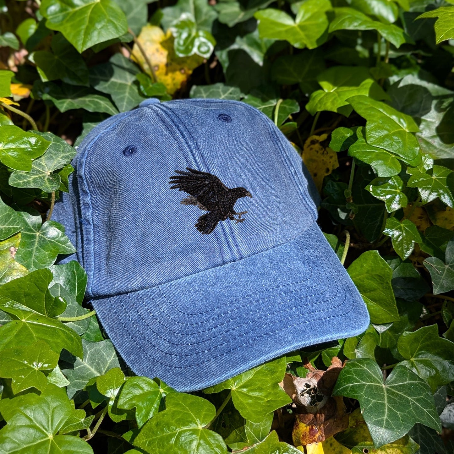 Raven Embroidered Baseball Cap