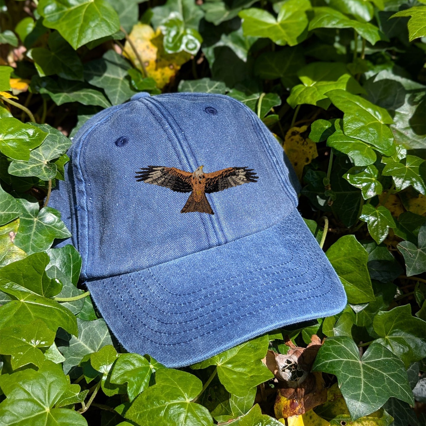 Red Kite Embroidered Baseball Cap