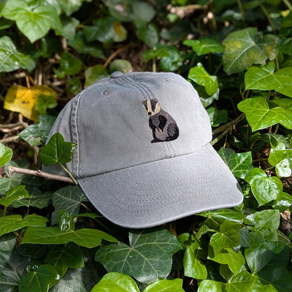 Badger Embroidered Baseball Cap