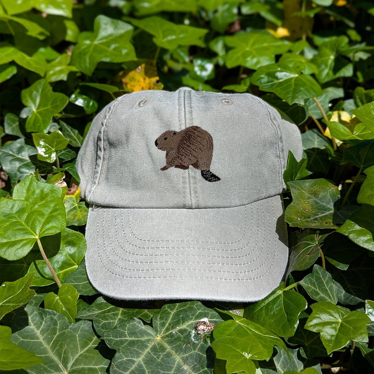 Beaver Riverside Embroidered Baseball Cap