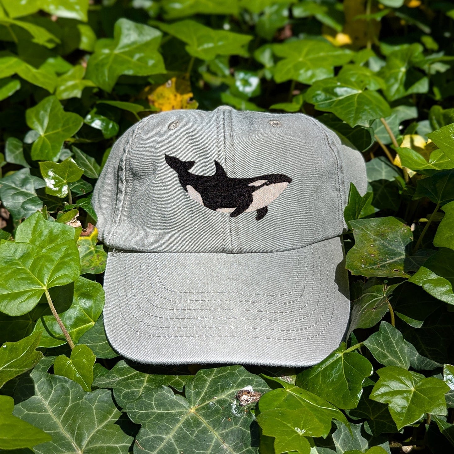 Orca Embroidered Baseball Cap