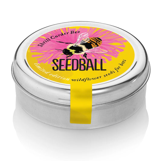 Seedball Tin: Bumblebee Mix, Wildflowers for Pollinator Legends (Shrill Cardner Bee)
