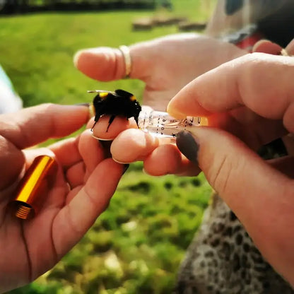 Bee Revival Kit Keyring: Save Bees on the Go!