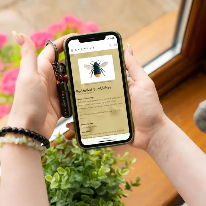 Bee Revival Kit Keyring: Save Bees on the Go!