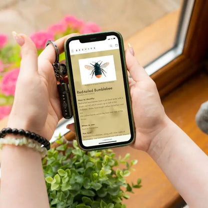 Bee Revival Kit Keyring: Save Bees on the Go!