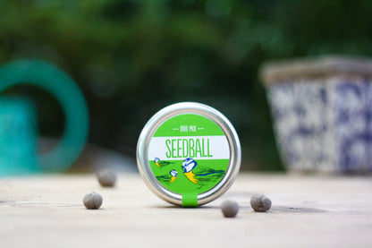 Seedball Tin: Bird Mix, Wildflowers for your Garden Birds