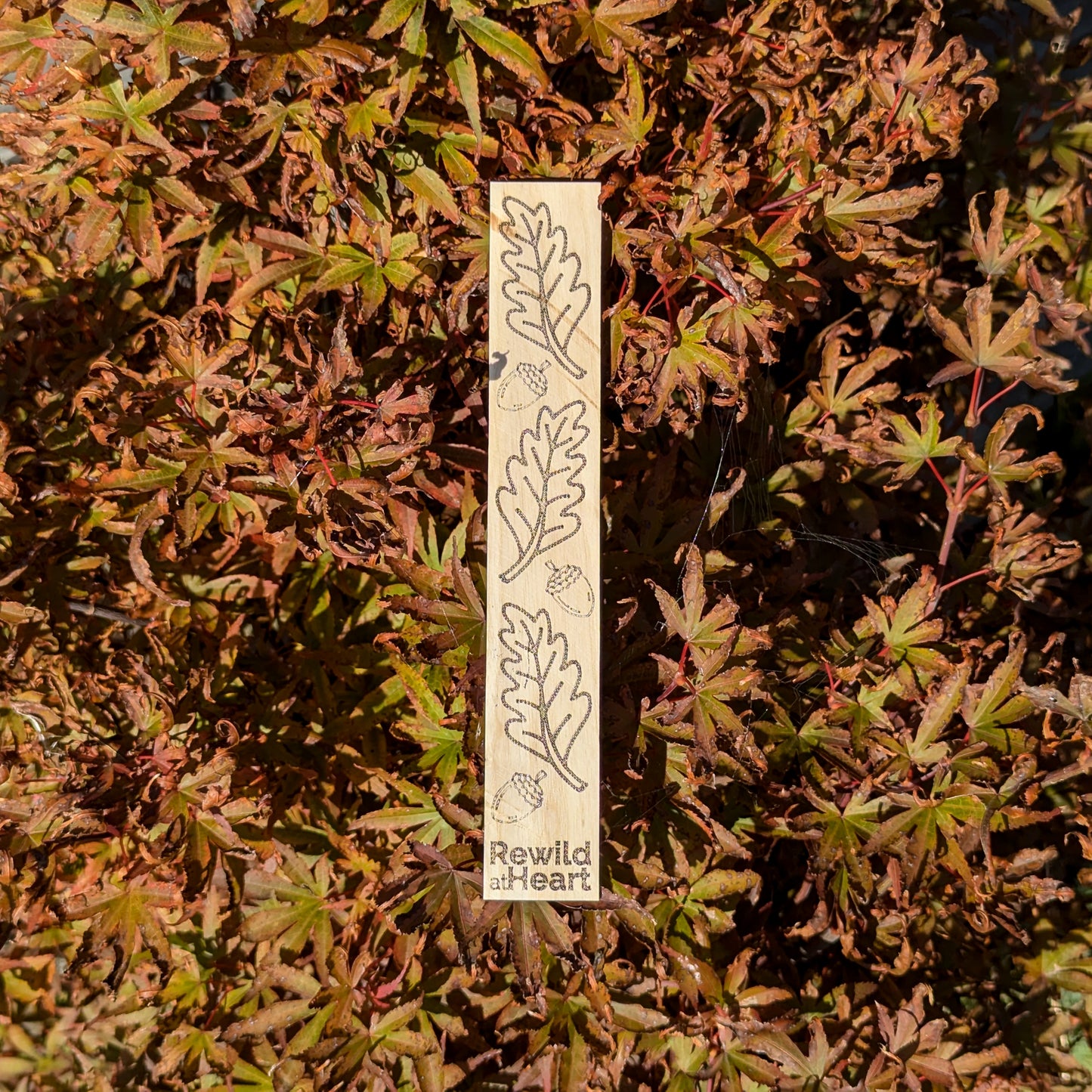 Rewild at Heart Wooden Bookmark