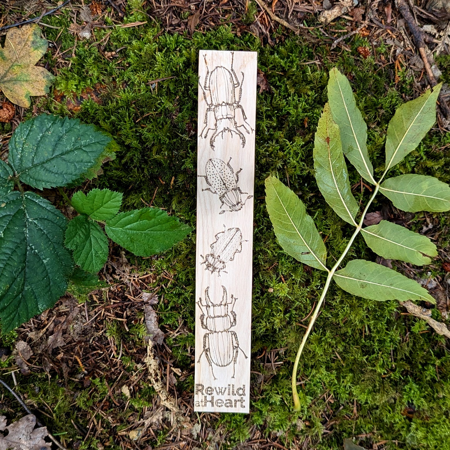 Rewild at Heart Wooden Bookmark