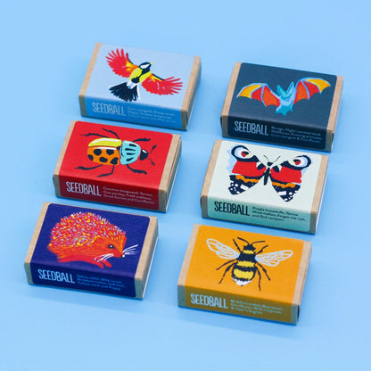 Seedball Wildlife Collection Seed Box Set: 6 Wildflower Seed Ball Boxes