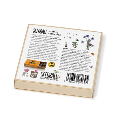 Seedball Wildlife Collection Seed Box Set: 6 Wildflower Seed Ball Boxes