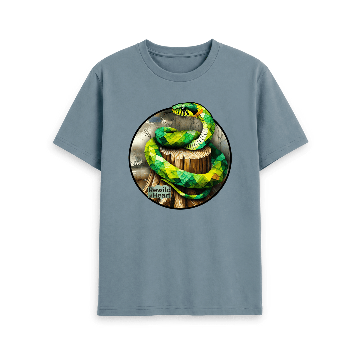 Stone Blue Printed T-shirt Front