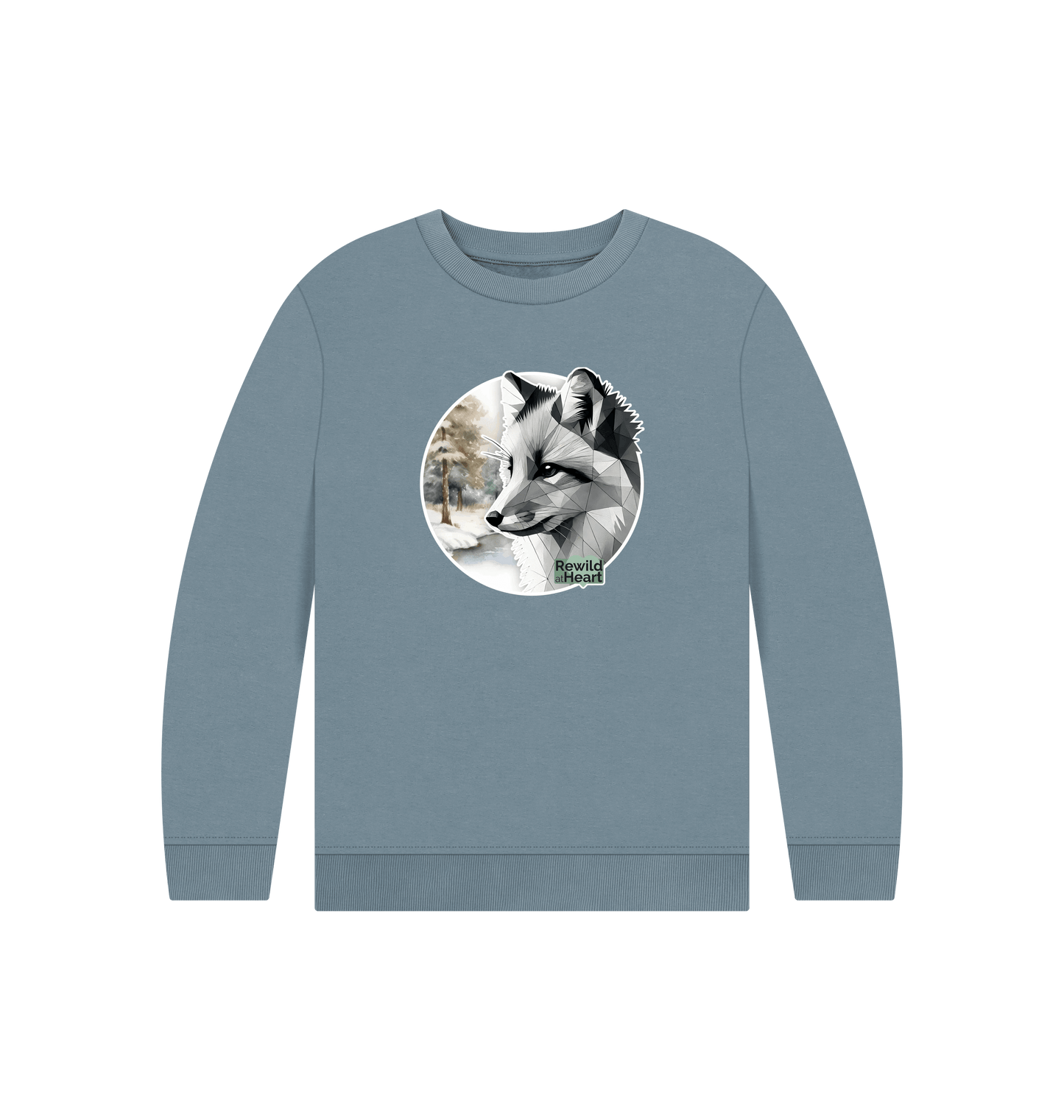 Stone Blue Printed Kids Jumper Front