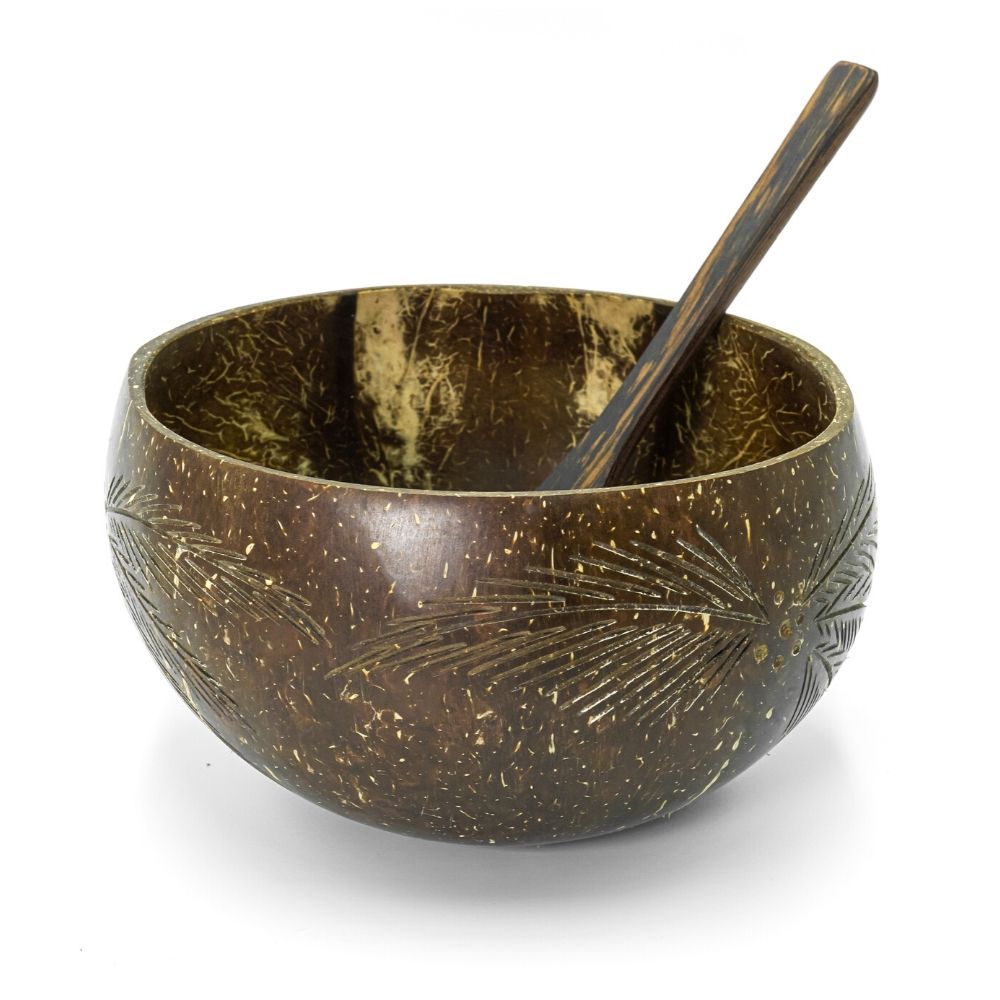 Double Coconut Bowl and Spoon Set