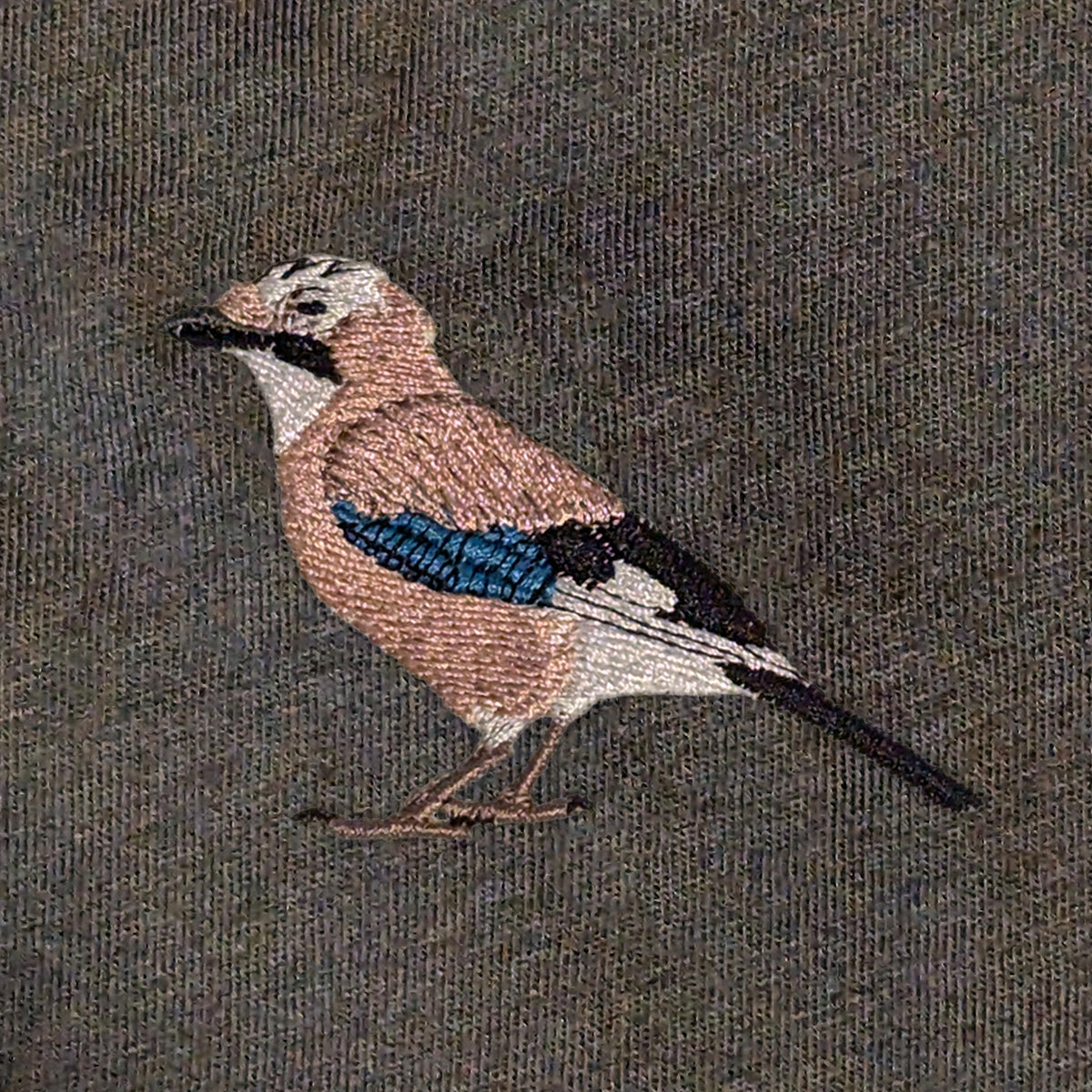 Closeup photo of the Eurasian Jay embroidery design