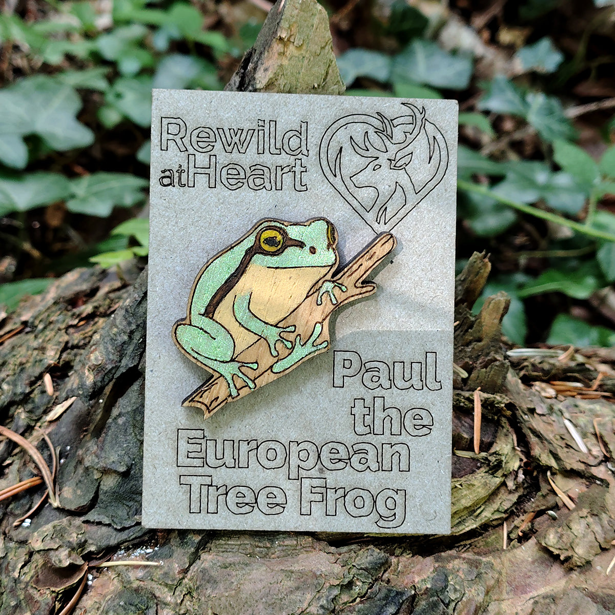 European Tree Frog Wooden Pin Badge