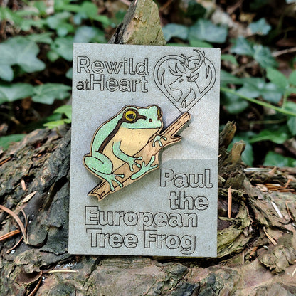 European Tree Frog Wooden Pin Badge