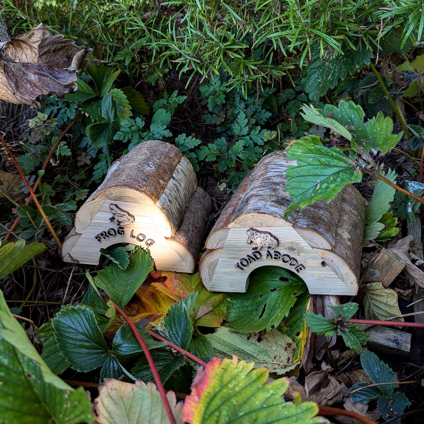 Frog Log & Toad Abode, Garden Wildlife Homes