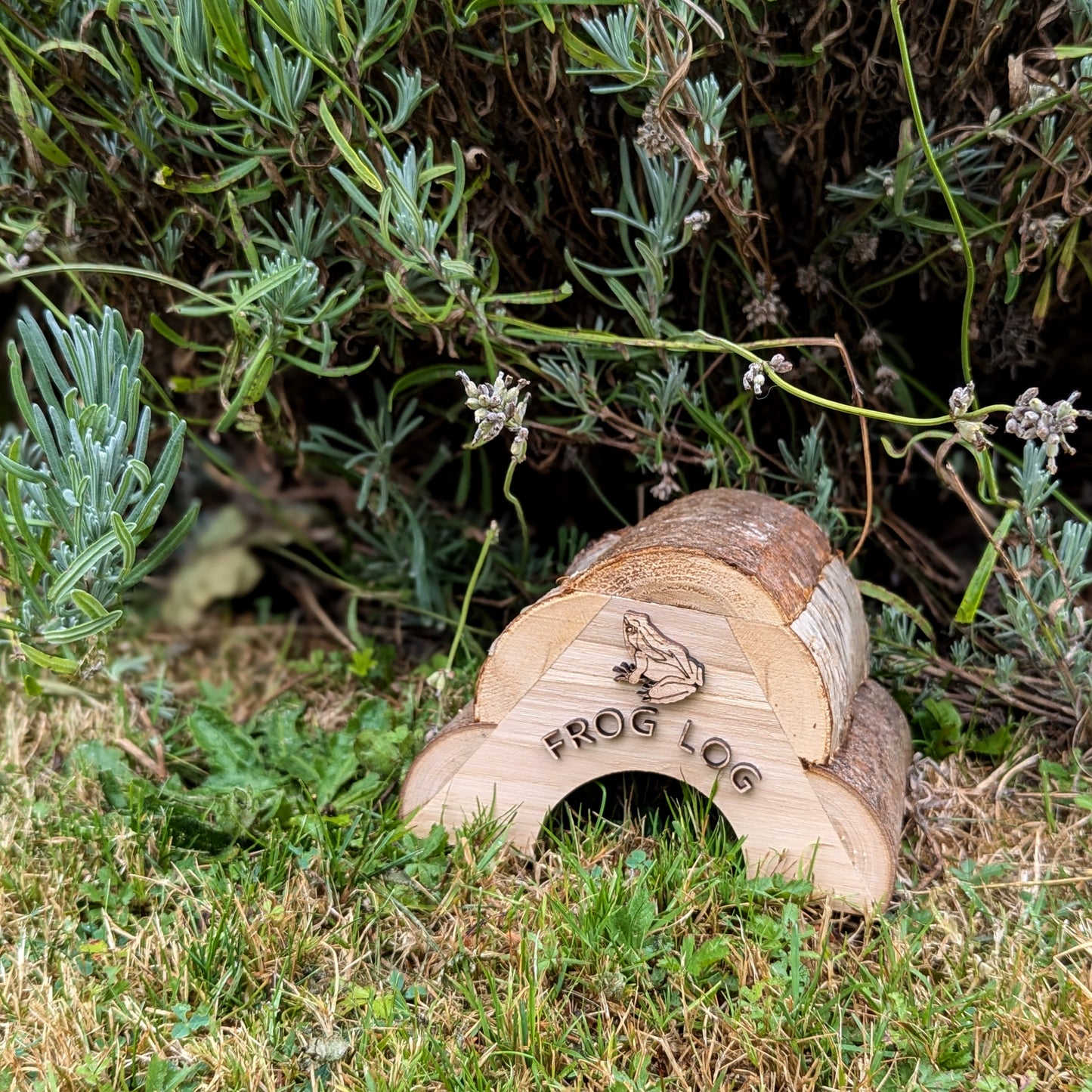 Frog Log & Toad Abode, Garden Wildlife Homes