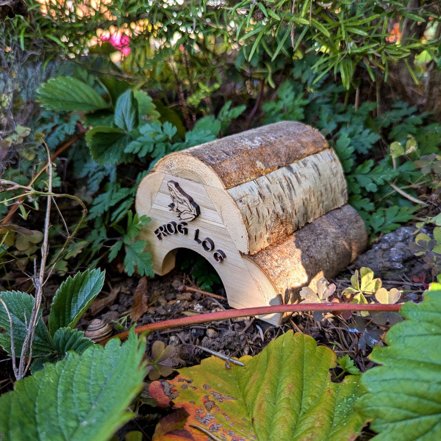 Frog Log & Toad Abode, Garden Wildlife Homes