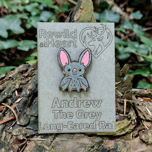 Grey Long-Eared Bat Wooden Pin Badge