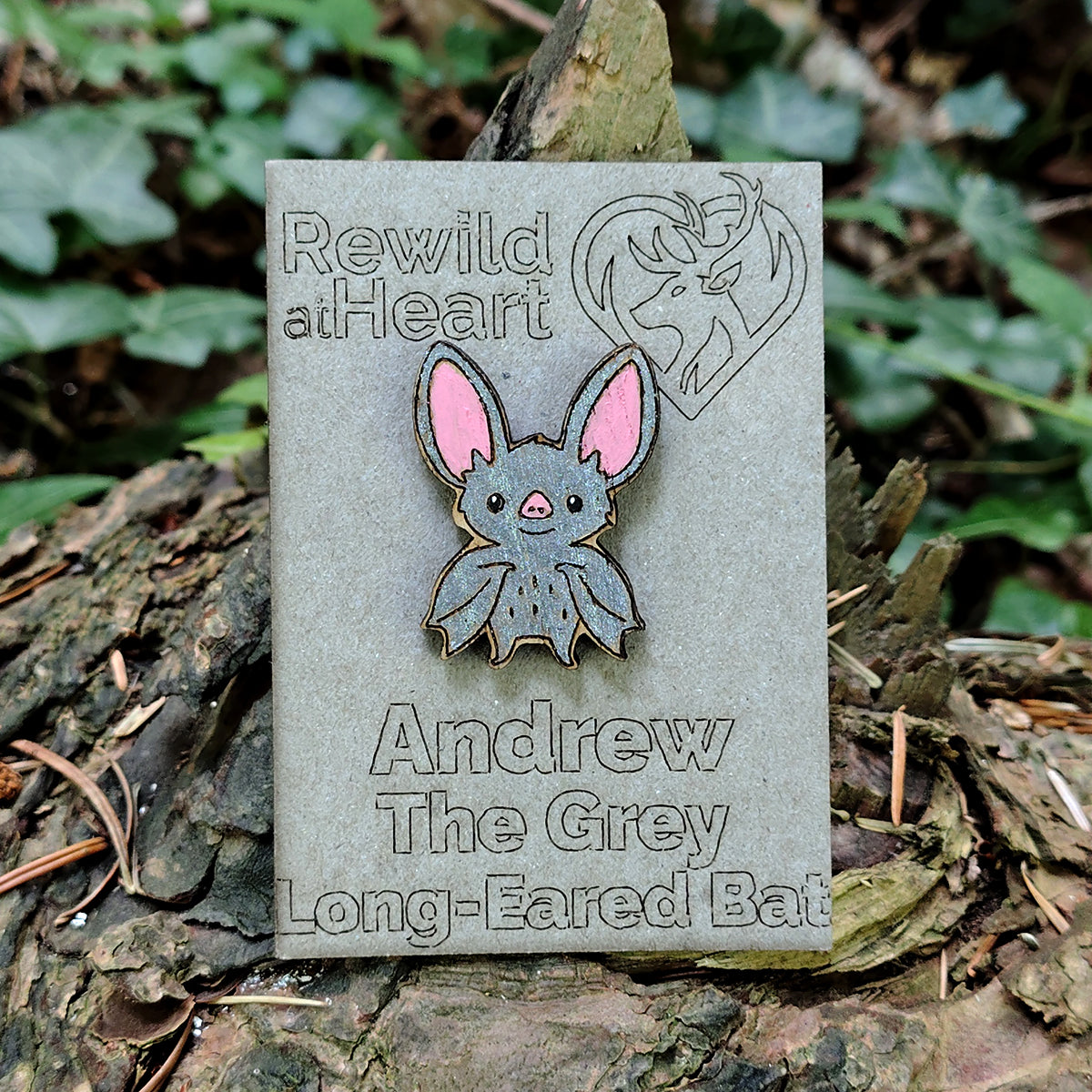 Grey Long-Eared Bat Wooden Pin Badge
