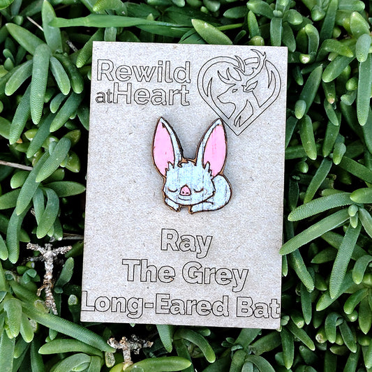 Sleepy Grey Long-Eared Bat Wooden Pin Badge