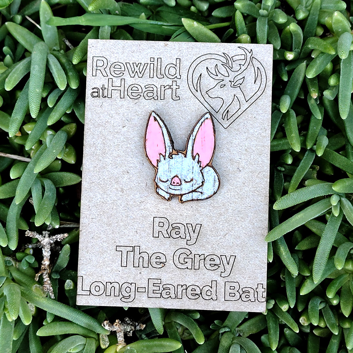Sleepy Grey Long-Eared Bat Wooden Pin Badge