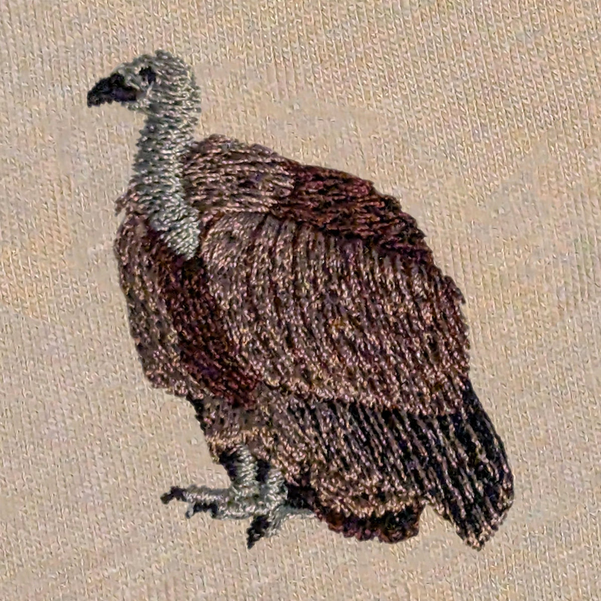Closeup photo of the Griffon Vulture embroidery design