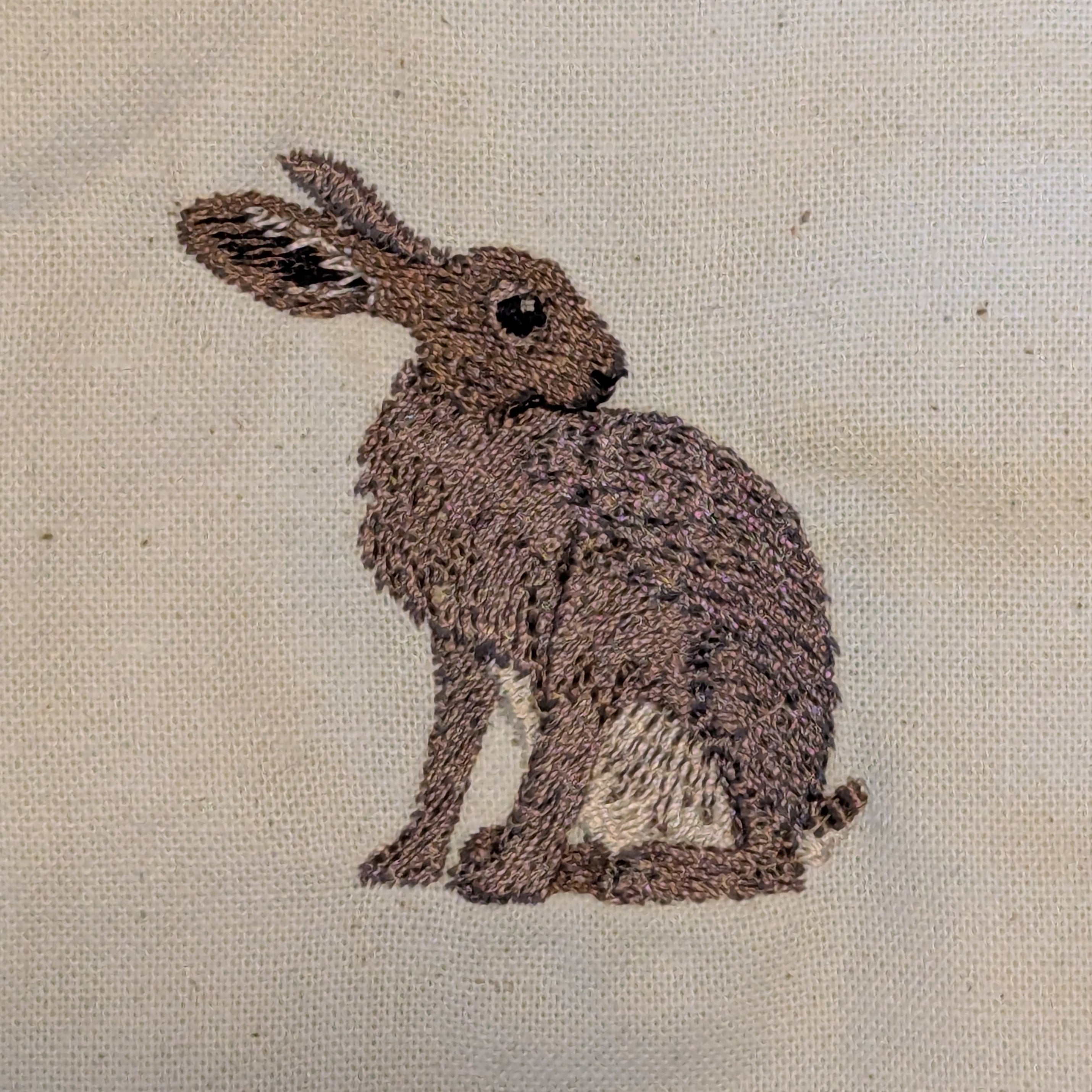 Hare Collection | Sustainable Wildlife Clothing | Rewild at Heart