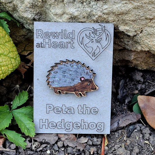 Hedgehog Wooden Pin Badge
