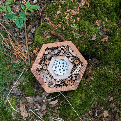 Honeycomb Bee Hotel with Clay Interior - Ideal for Mason Bees and Bumblebees