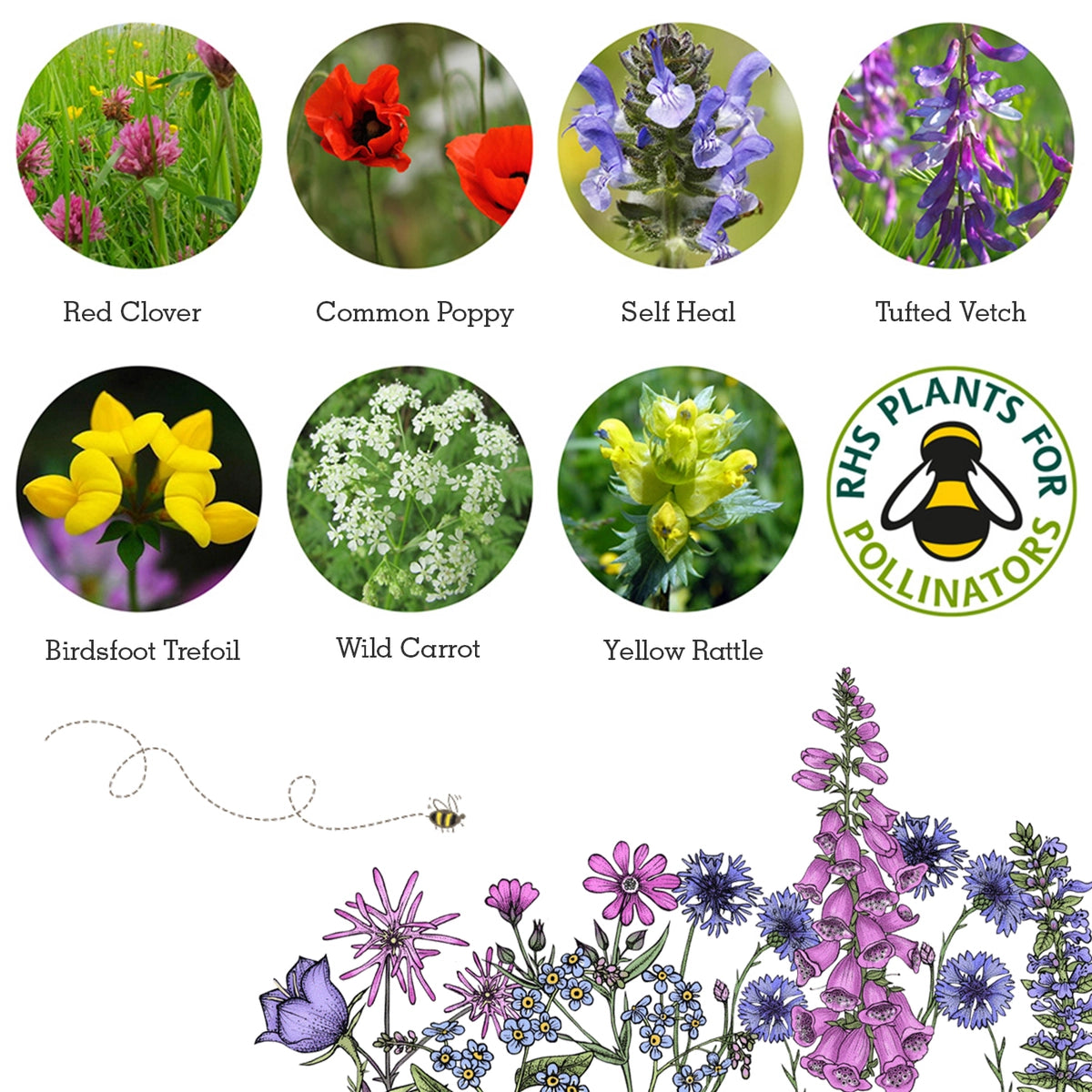Seedball Wildlife Collection Seed Box Set: 6 Wildflower Seed Ball Boxes