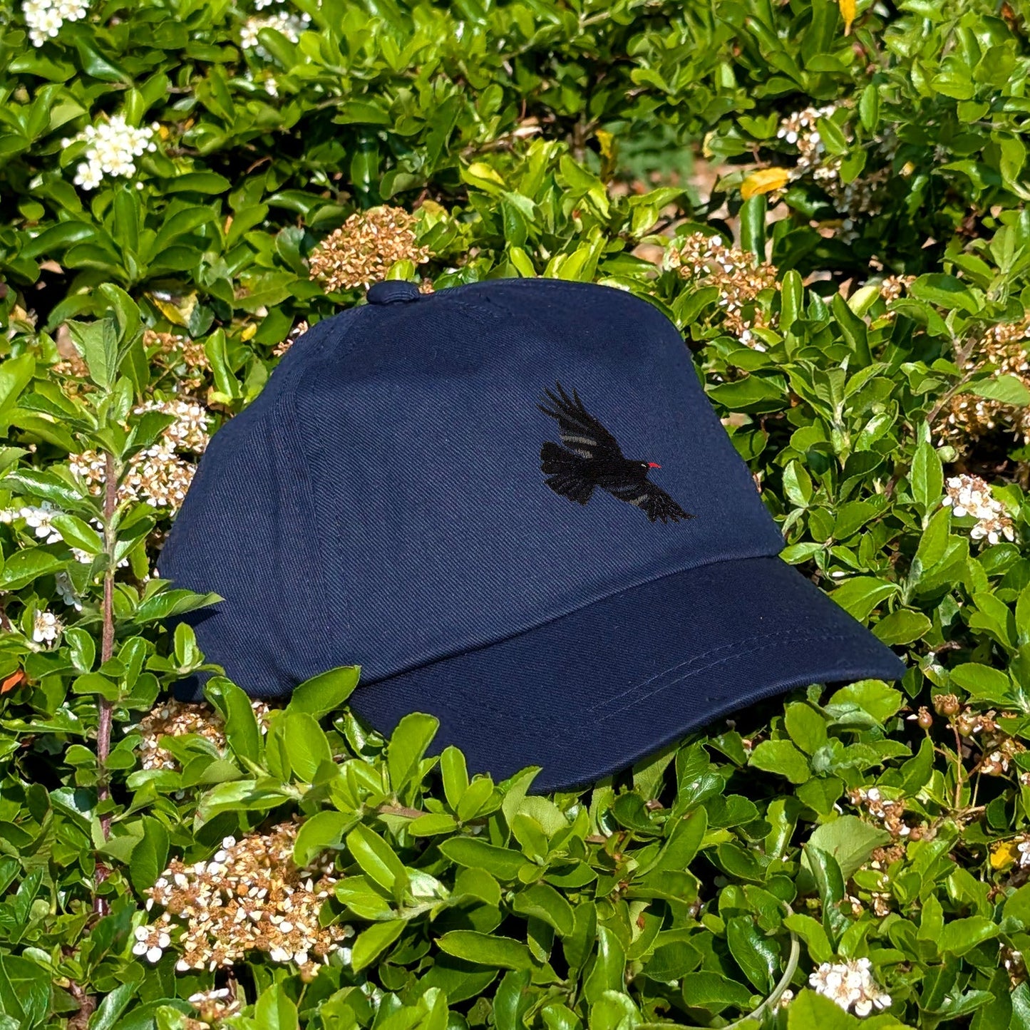 Chough Embroidered Baby/Toddler Cap (up to 5 years)