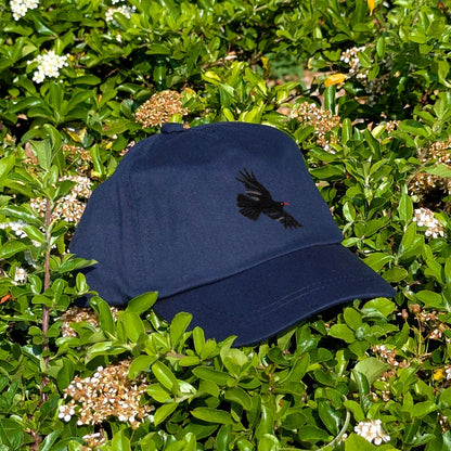 Chough Embroidered Baby/Toddler Cap (up to 5 years)