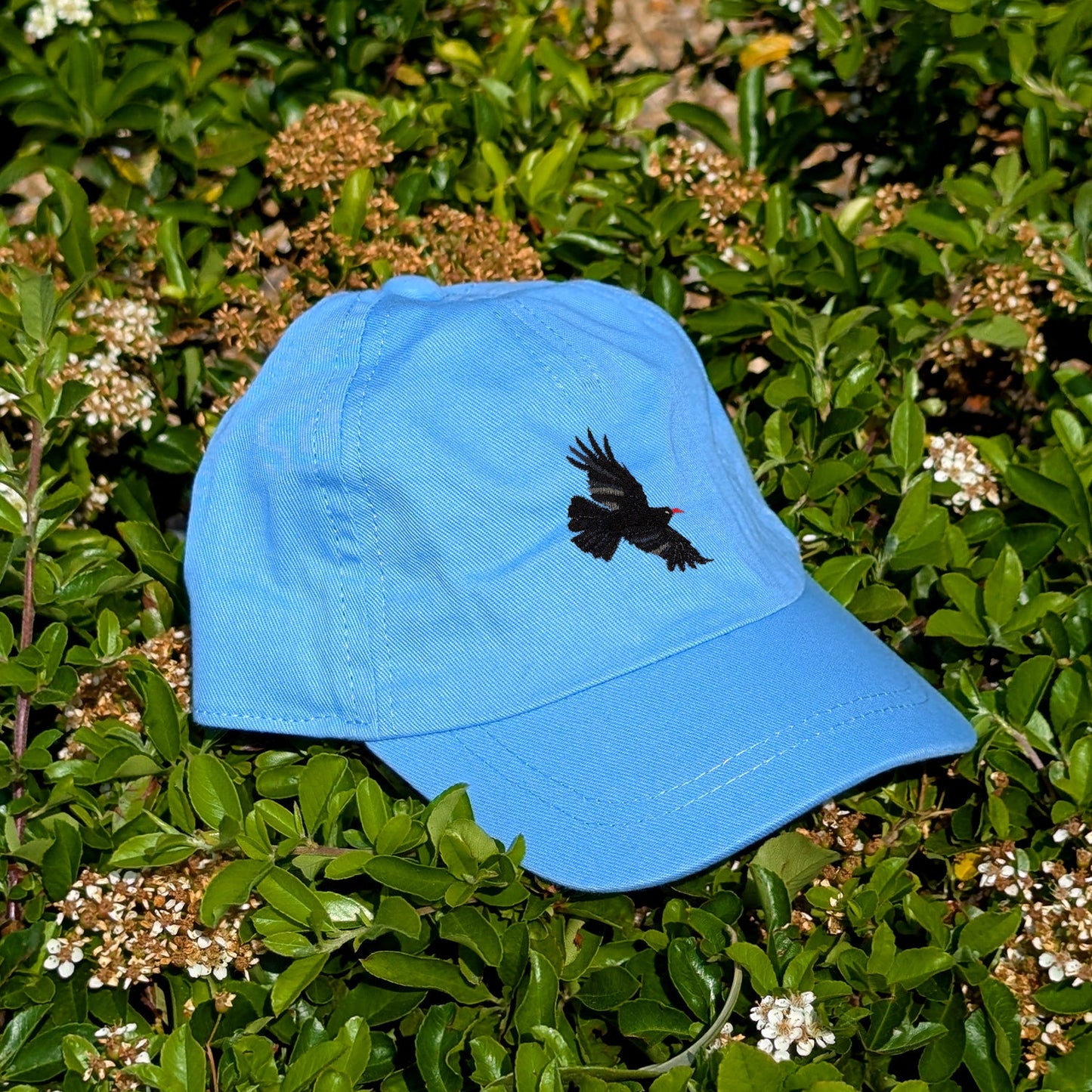 Chough Embroidered Baby/Toddler Cap (up to 5 years)