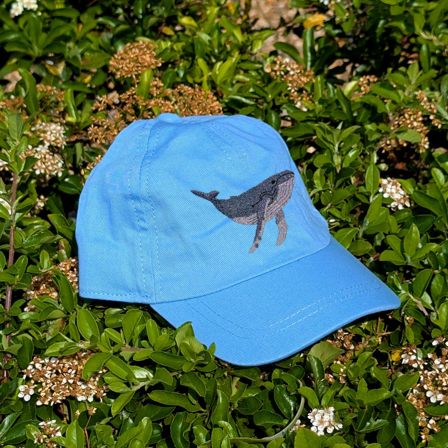 Humpback Whale Embroidered Baby/Toddler Cap (up to 5 years)