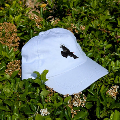Chough Embroidered Baby/Toddler Cap (up to 5 years)