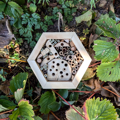 Honeycomb Bee Hotel - Reclaimed Pallet Wood