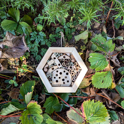 Honeycomb Bee Hotel - Reclaimed Pallet Wood