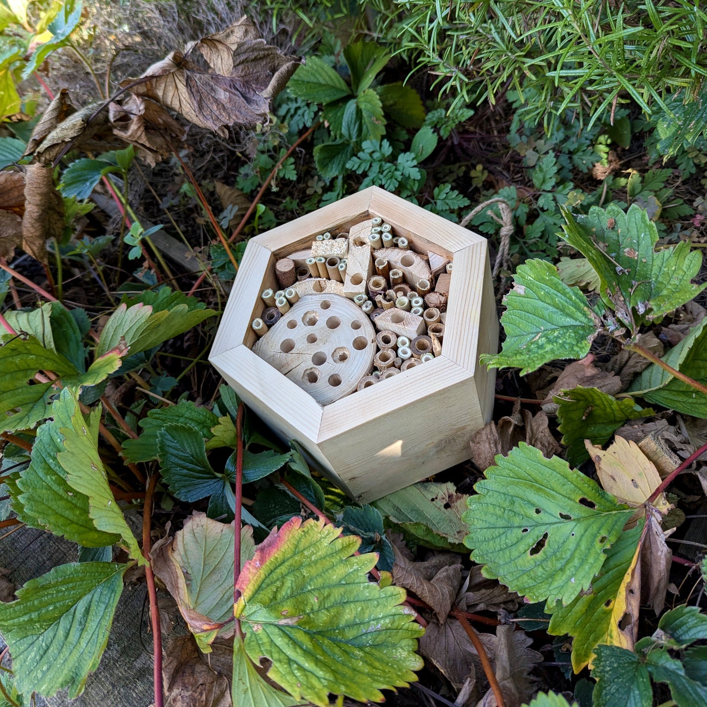 Honeycomb Bee Hotel - Reclaimed Pallet Wood