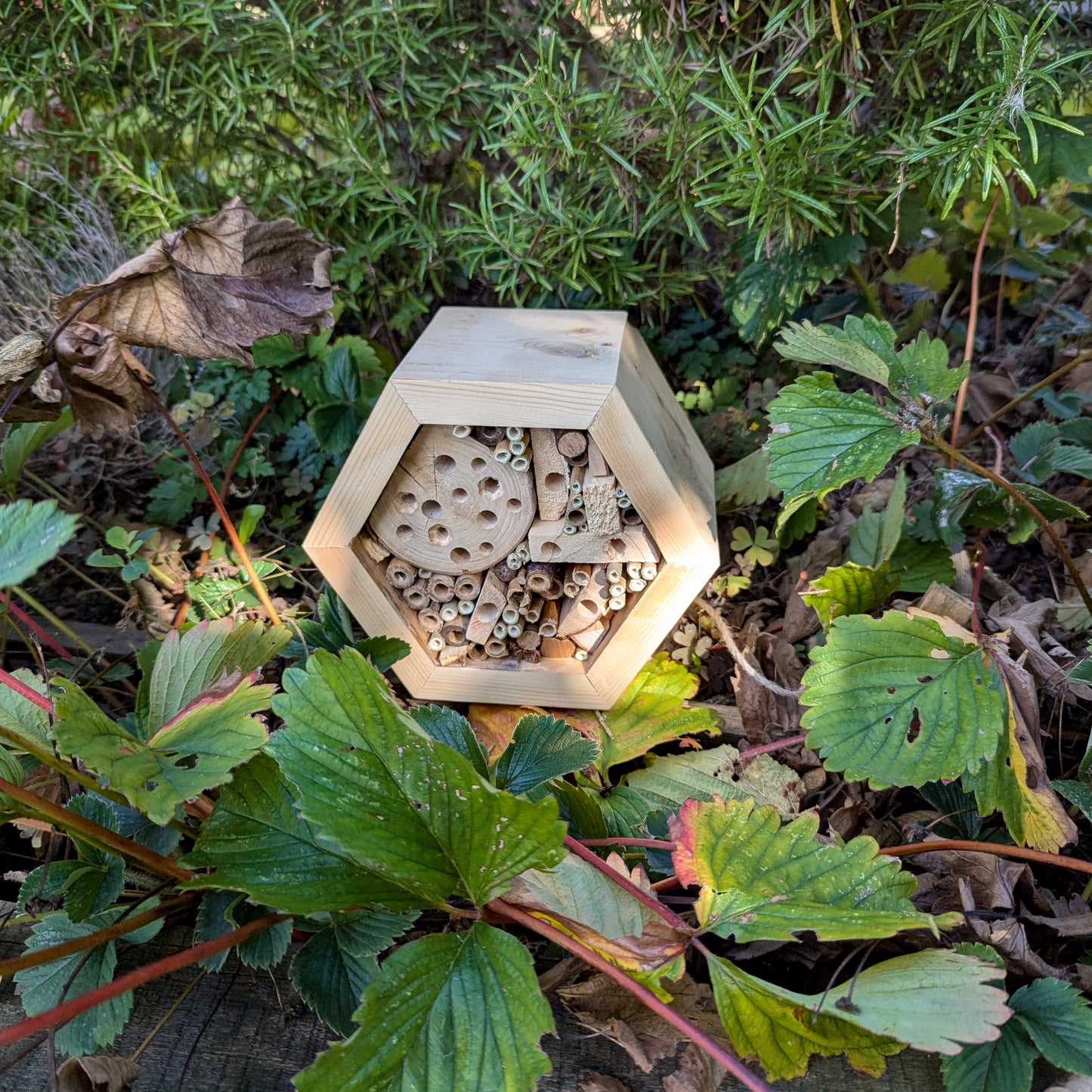 Honeycomb Bee Hotel - Reclaimed Pallet Wood